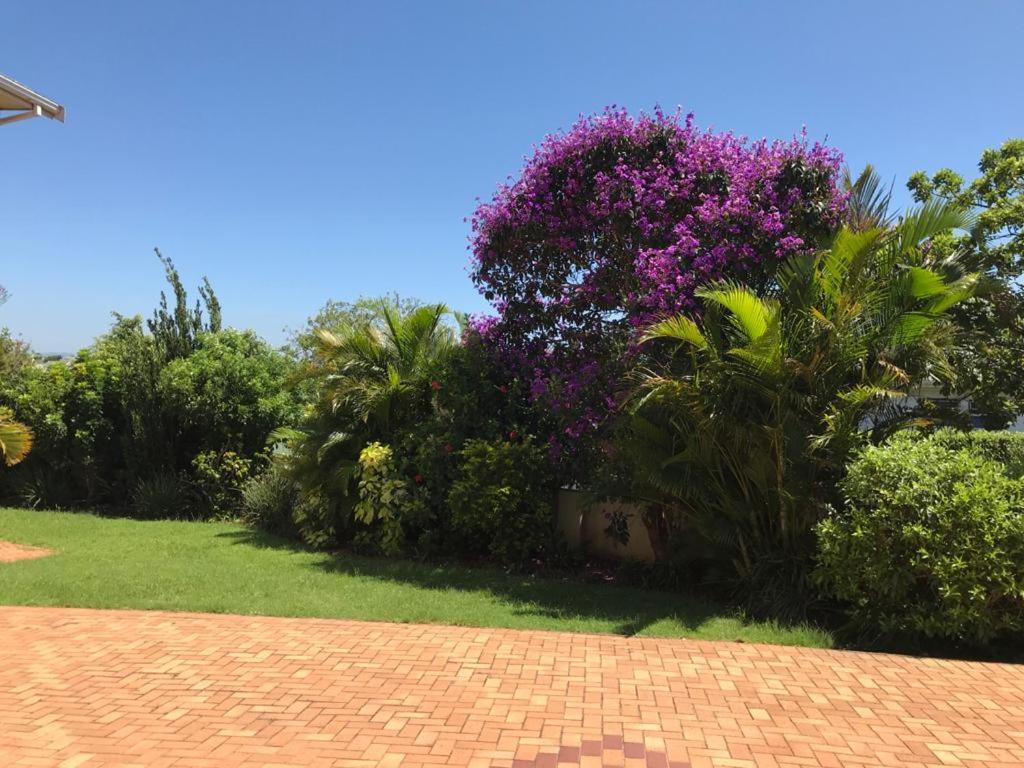 Somerset * Durban